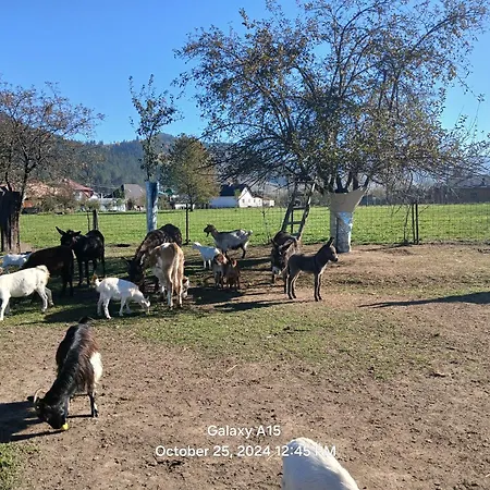 Casa de Campo Mica Ferma Vesela